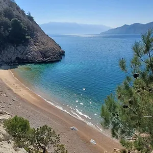 Lavender Baška